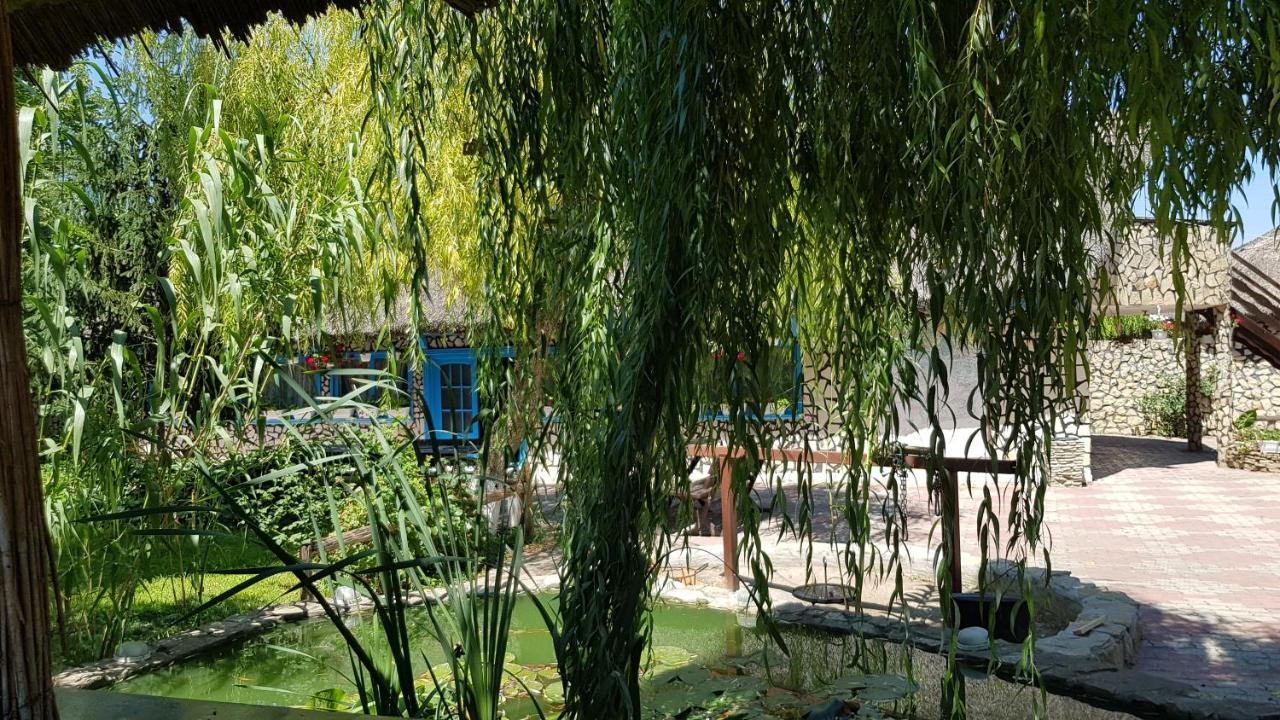 Pensiunea Iubire De Delta " La Traian " Murighiol Bagian luar foto