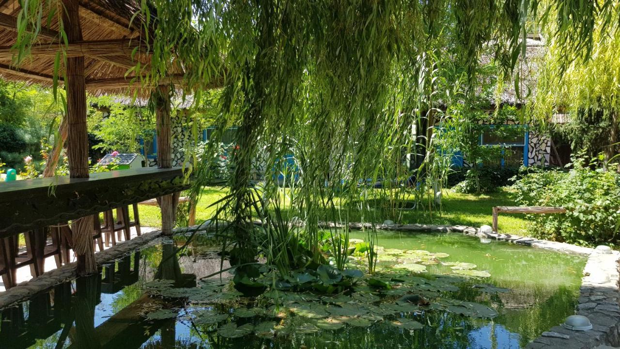 Pensiunea Iubire De Delta " La Traian " Murighiol Bagian luar foto
