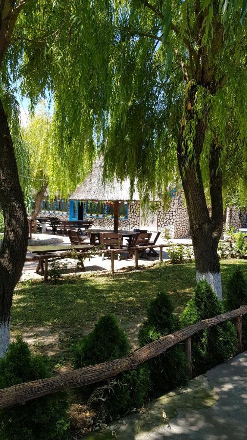 Pensiunea Iubire De Delta " La Traian " Murighiol Bagian luar foto