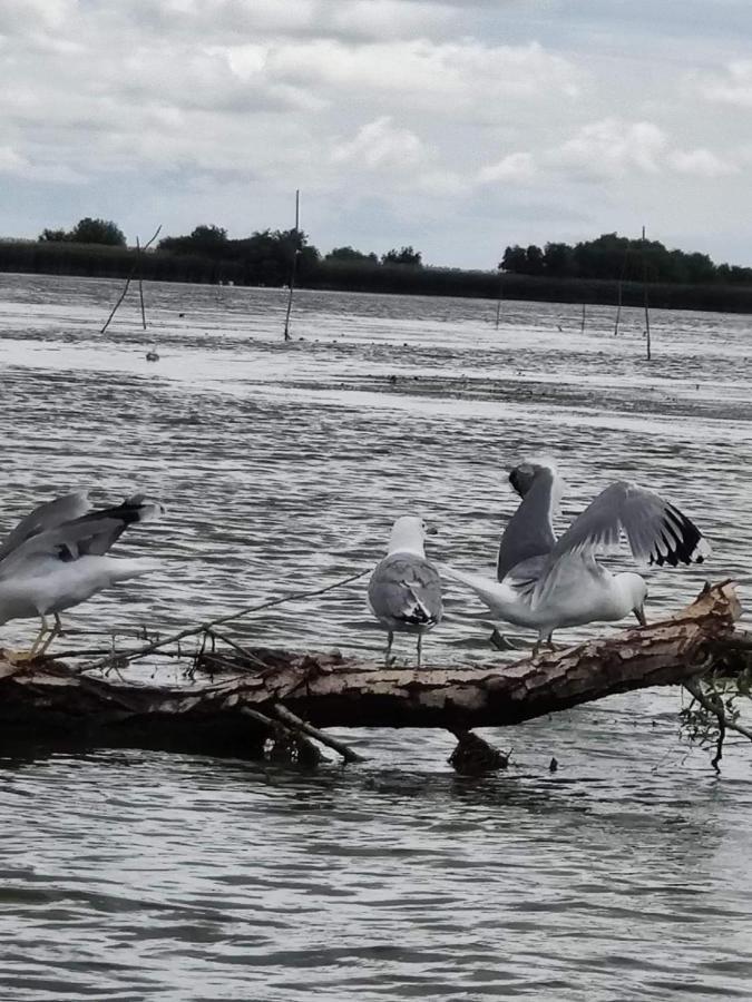 Pensiunea Iubire De Delta " La Traian " Murighiol Bagian luar foto